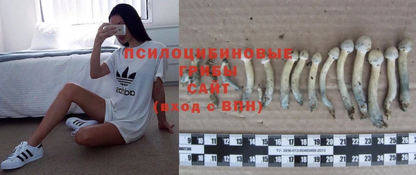 героин Горняк