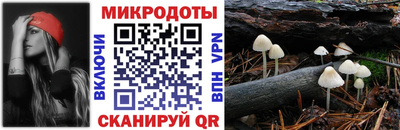 Псилоцибиновые грибы Psilocybe  что такое наркотик  Болохово 